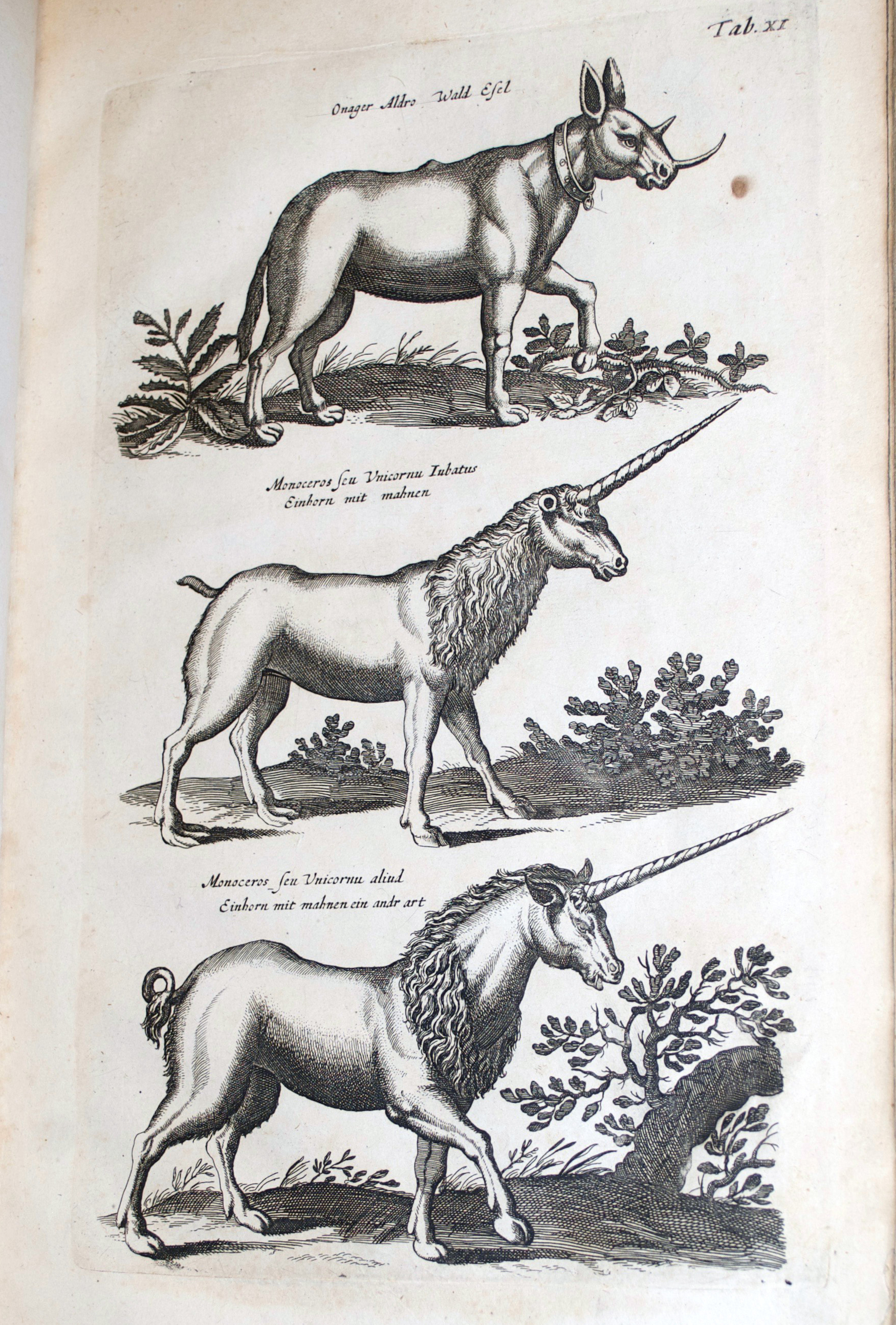 UBC Library's Harry Potter collection on display at Vancouver Symphony