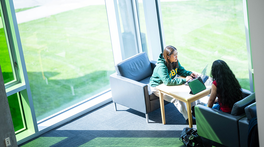 Two students sitting in the corner of a library location in armchairs beside floor-to-ceiling windows, each working on their laptops.